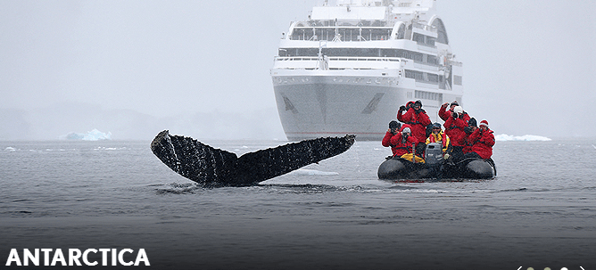 Antarctica - people in a boat Whale Watching